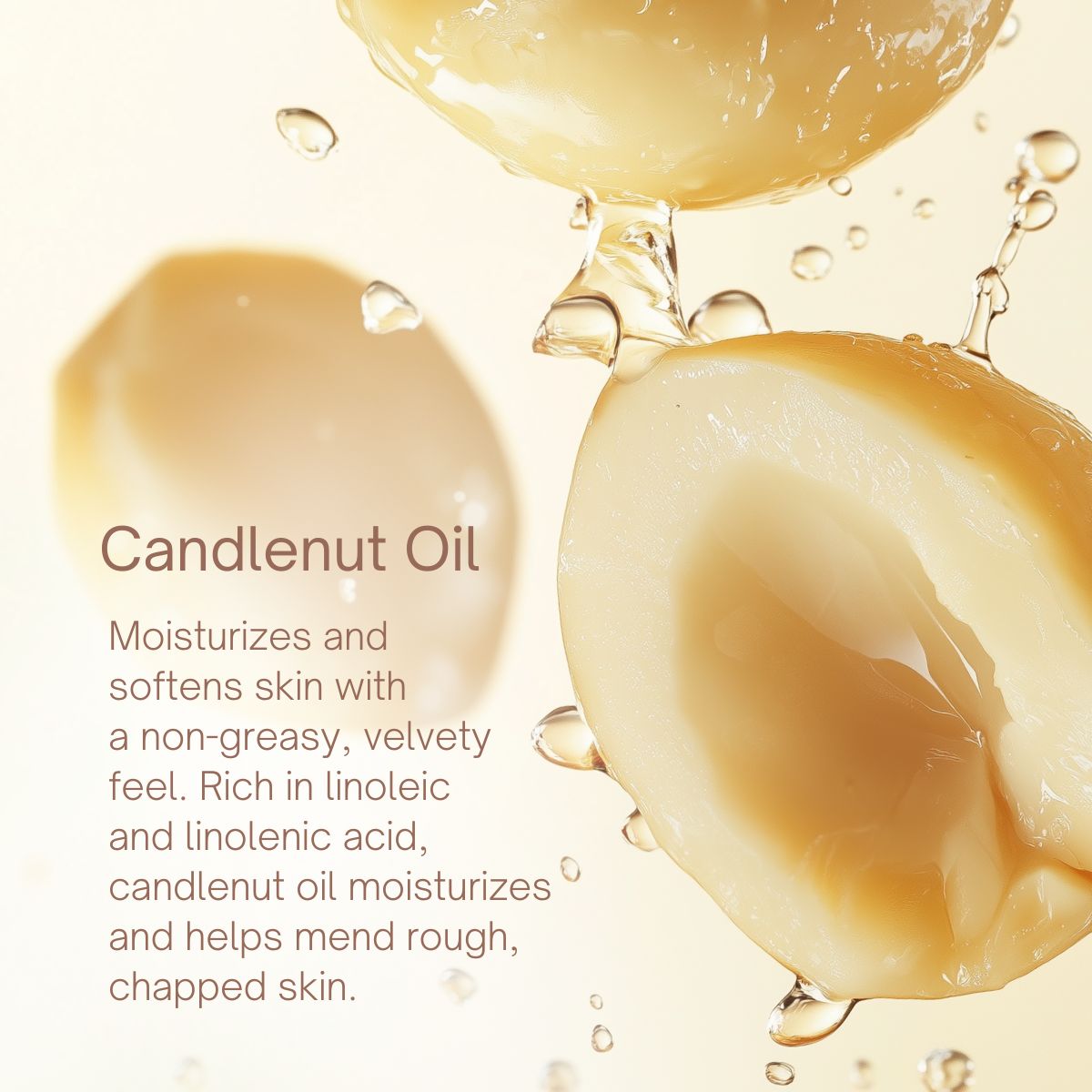Candlenut Trio Sampler