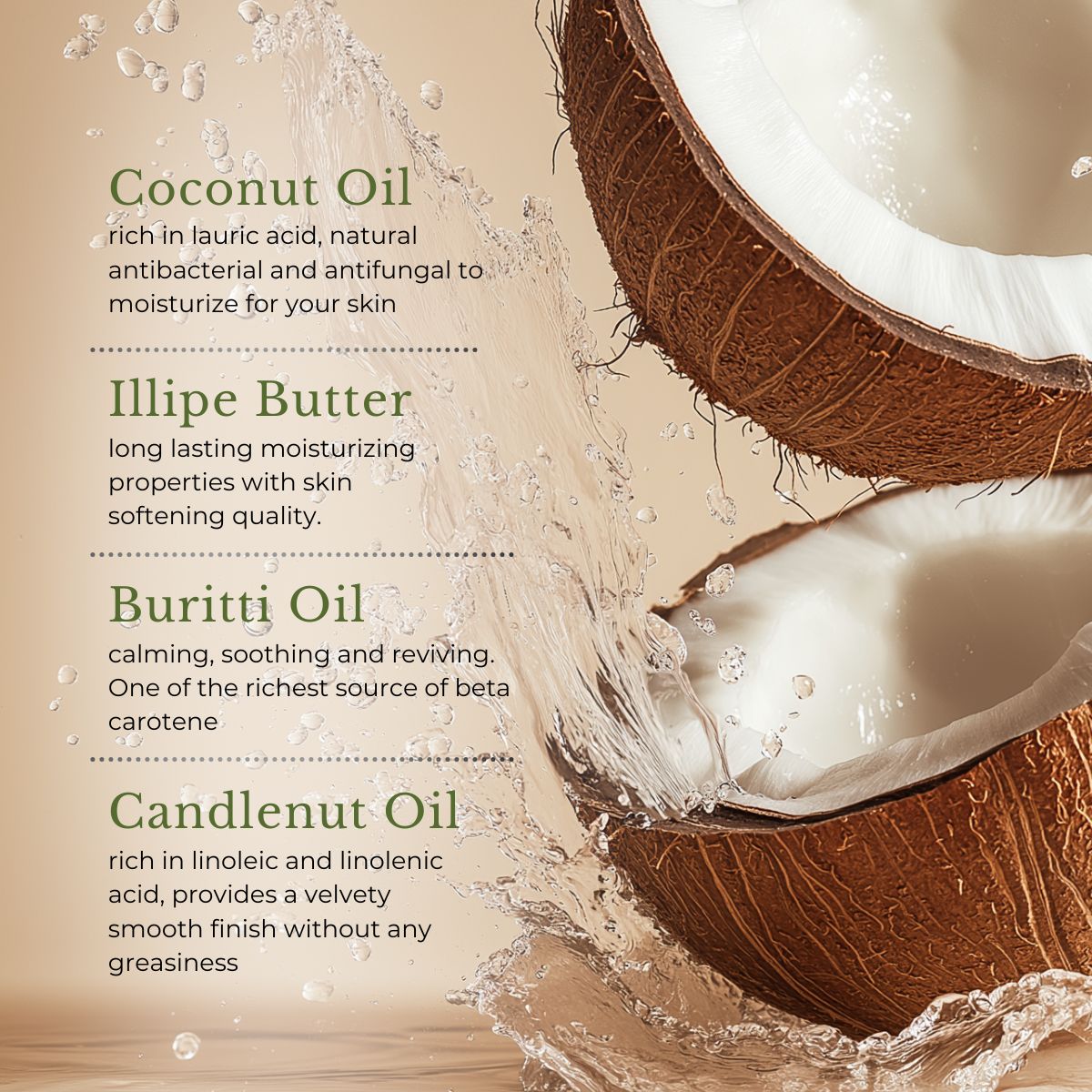 Coconut Illipe Hand and Nail Balm, 2.5 oz