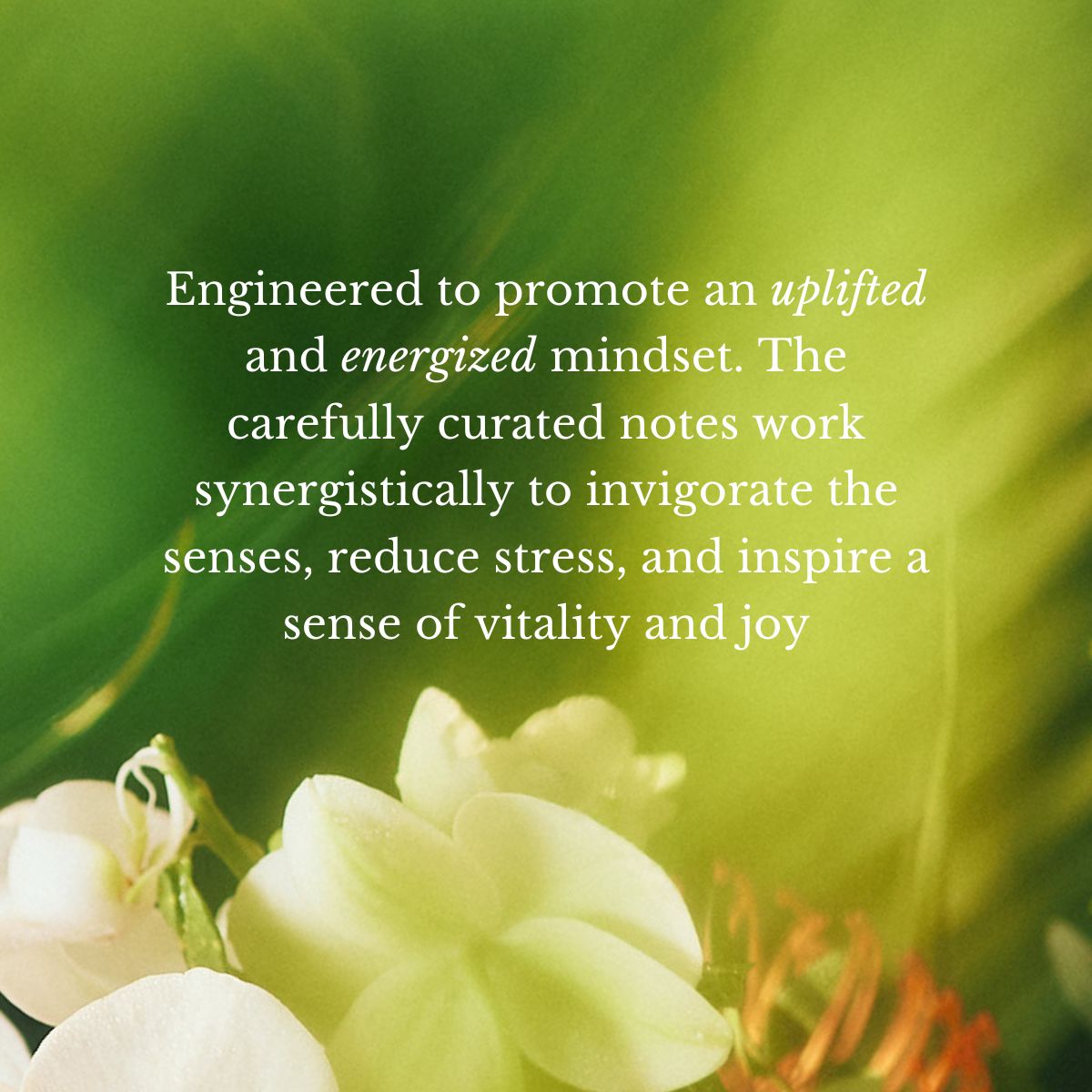 Tiare Jasmine Perfume Oil, 0.34 oz