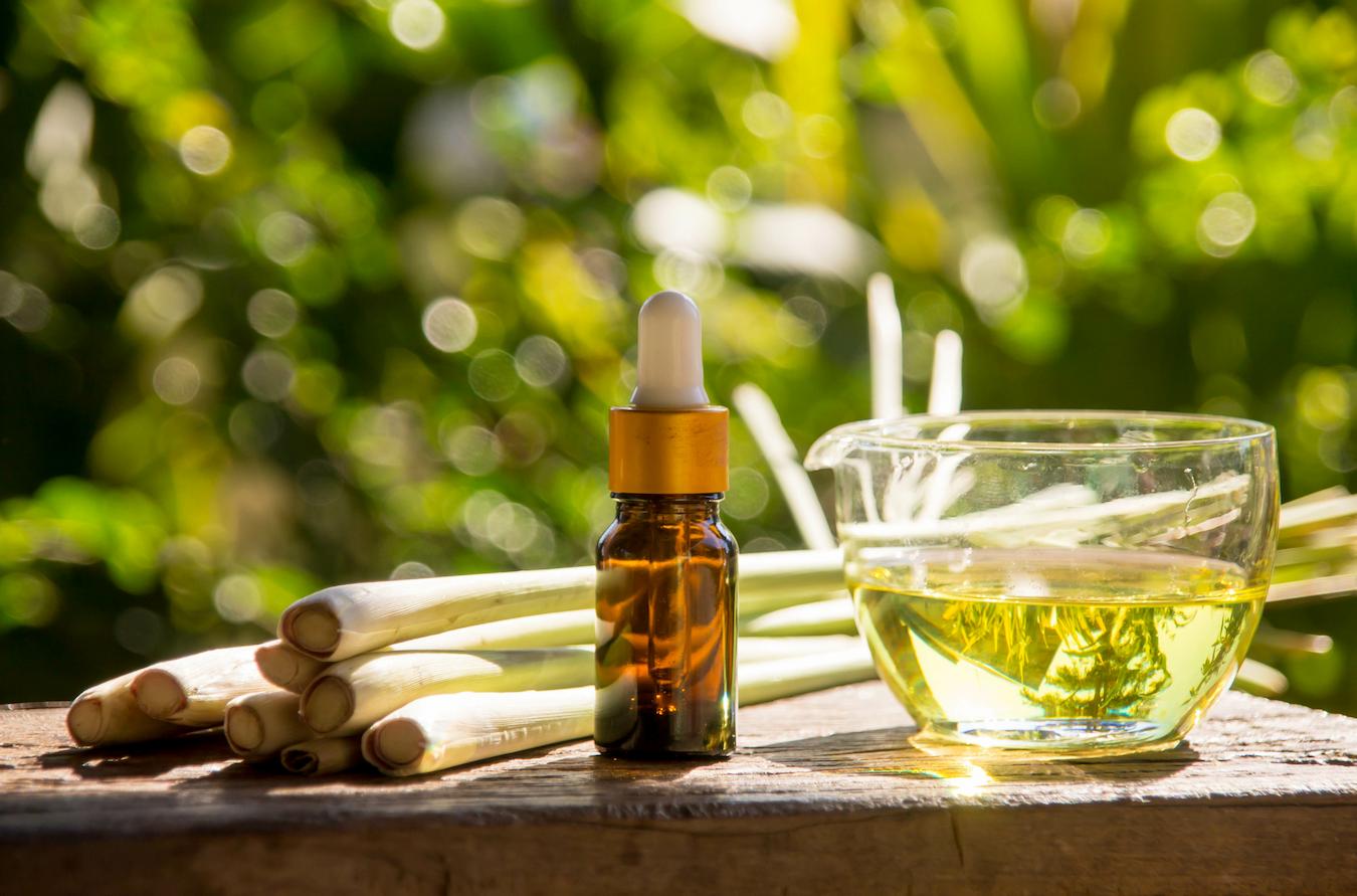 3 Surprising Beauty Benefits of Lemongrass For Skin And Hair JUARA Skincare