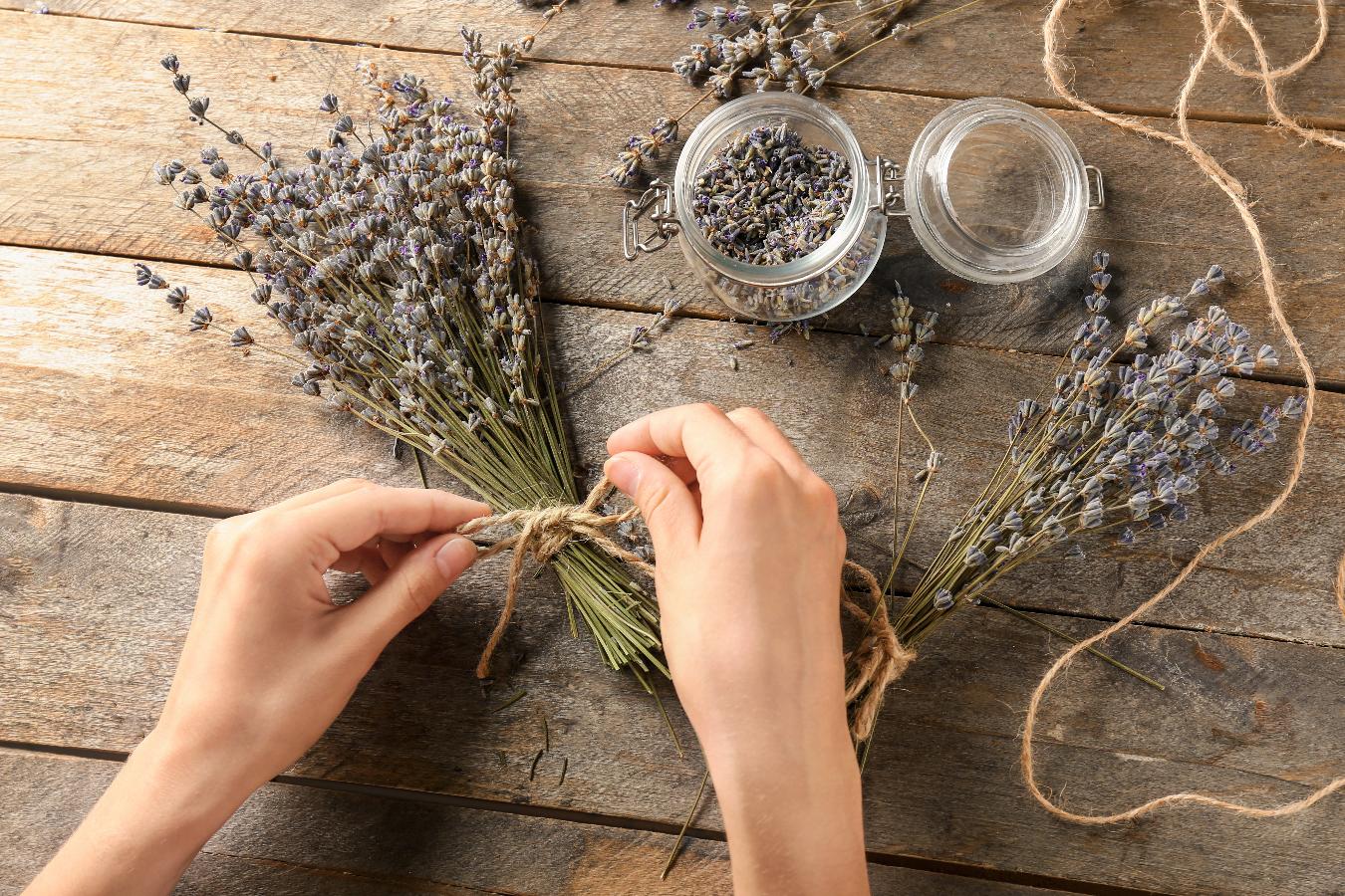 5 Easy Tips For Storing Dried Herbs JUARA Skincare