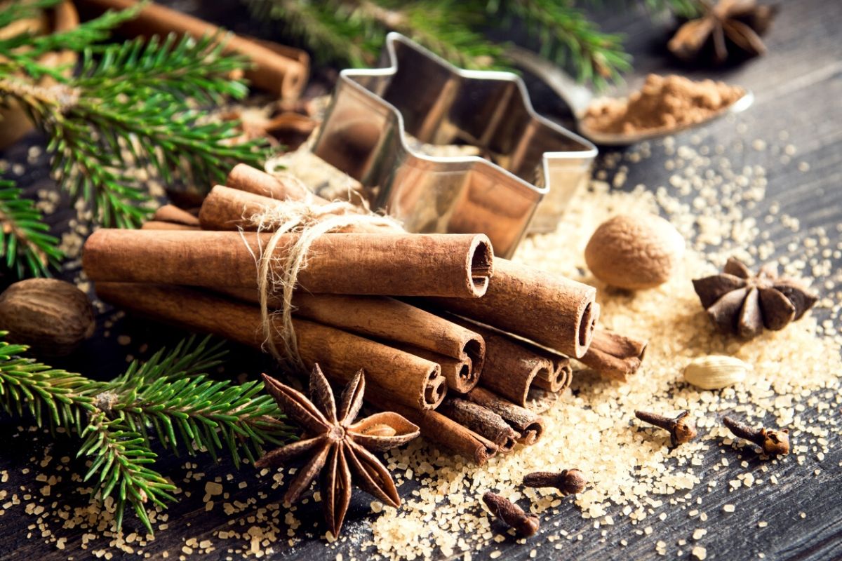 Cinnamon:  For Health & Holiday Cheers! JUARA Skincare