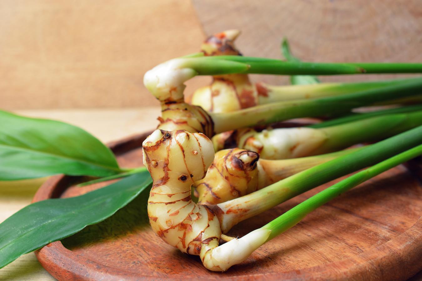 Galangal: The Jamu Ingredient You've Been Missing Out On JUARA Skincare