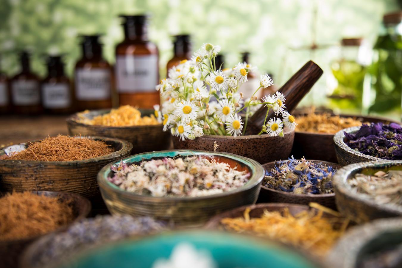 What Are Botanicals And Why Should You Use Them? JUARA Skincare
