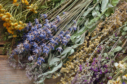 Best Herbs For Skin Repair