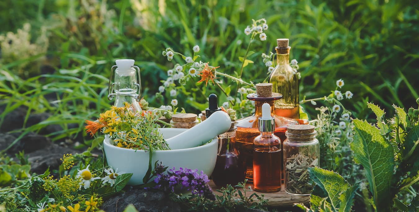 What Are The Best Natural Oils For Skin Hydration