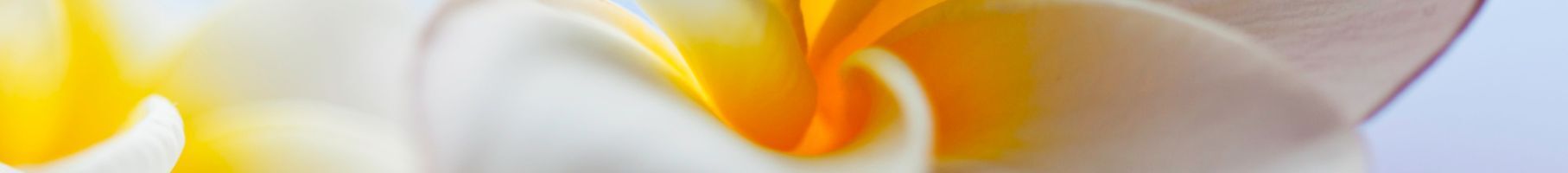 Your Free Gift is Waiting to be Claimed