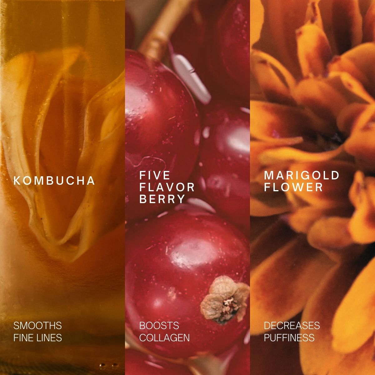 Miracle Tea Complete Eye Creme, 0.5 oz