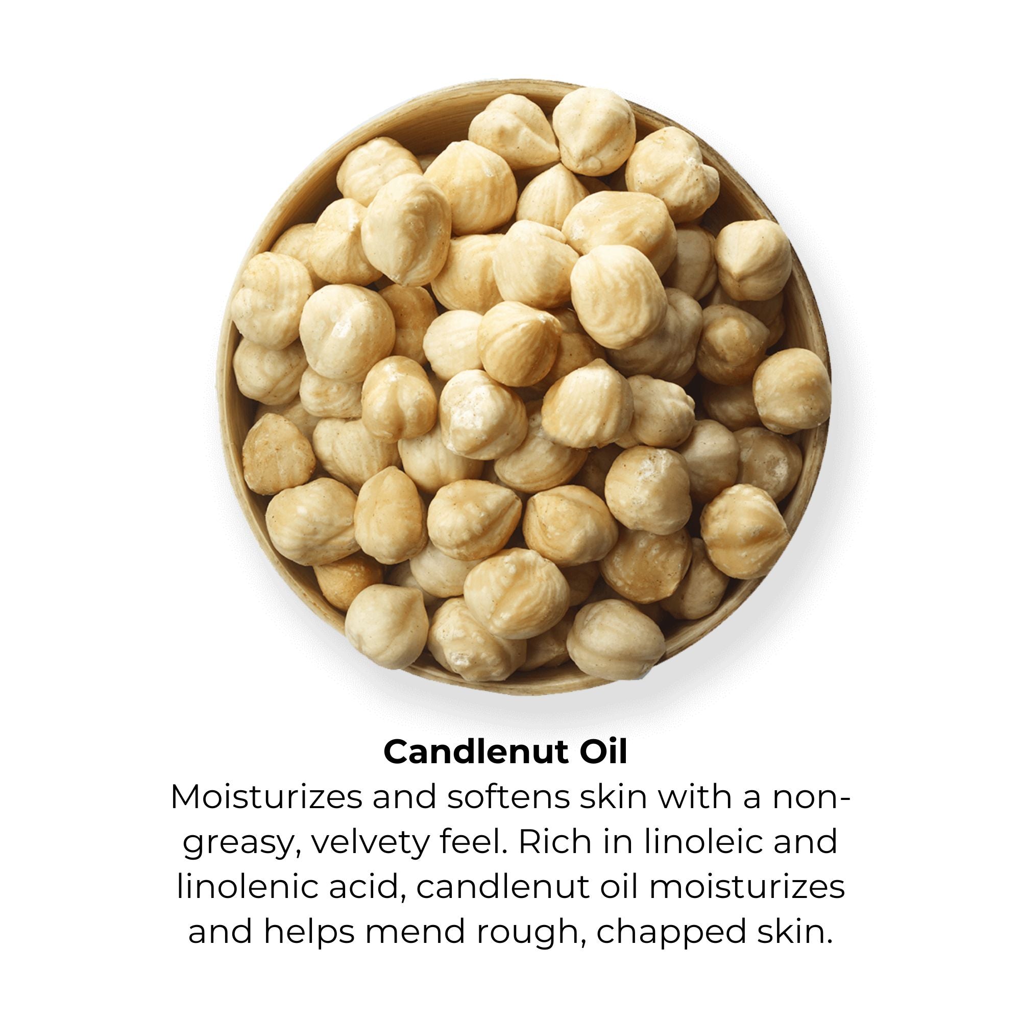 Candlenut Trio Sampler