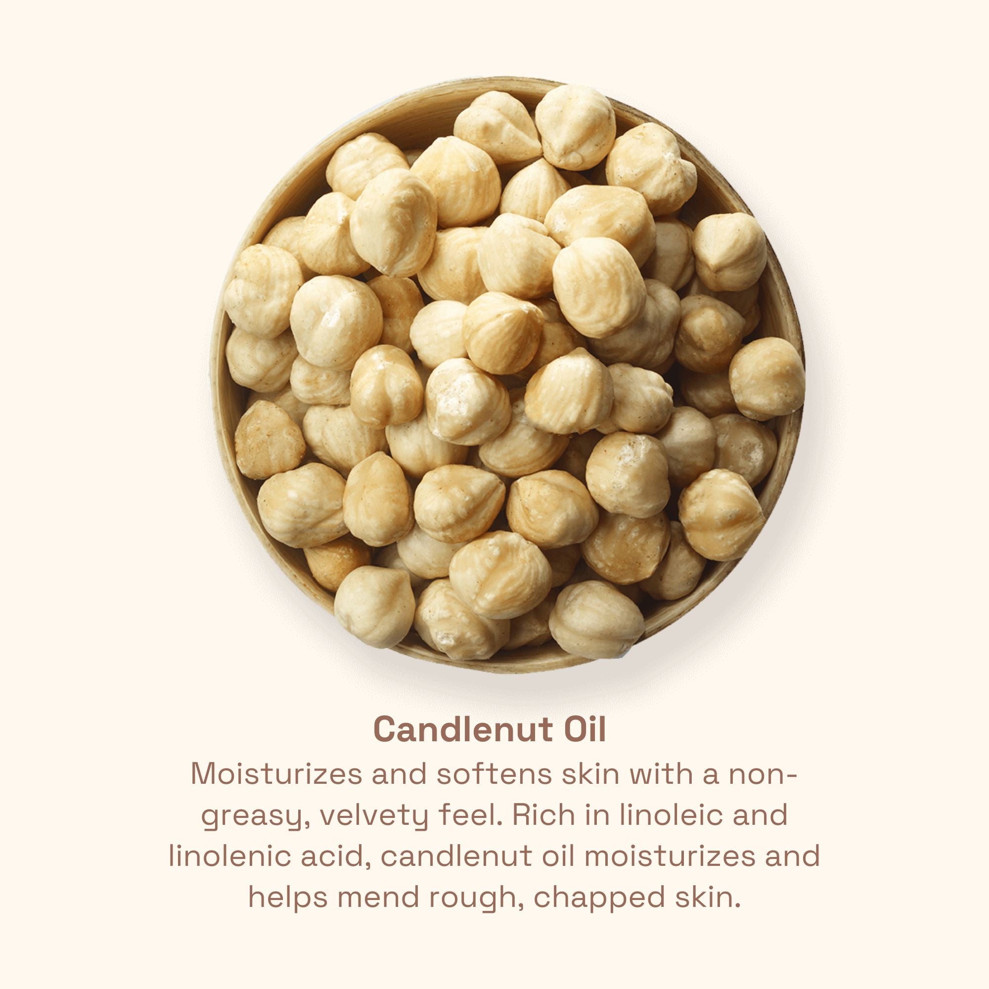 Crazy for Candlenut Set