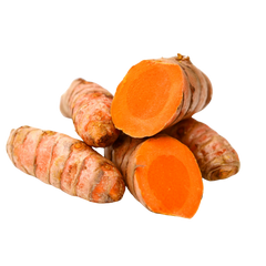 TURMERIC ROOT EXTRACT