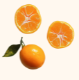 STABILIZED VITAMIN C