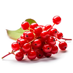 Five Flavor Berry